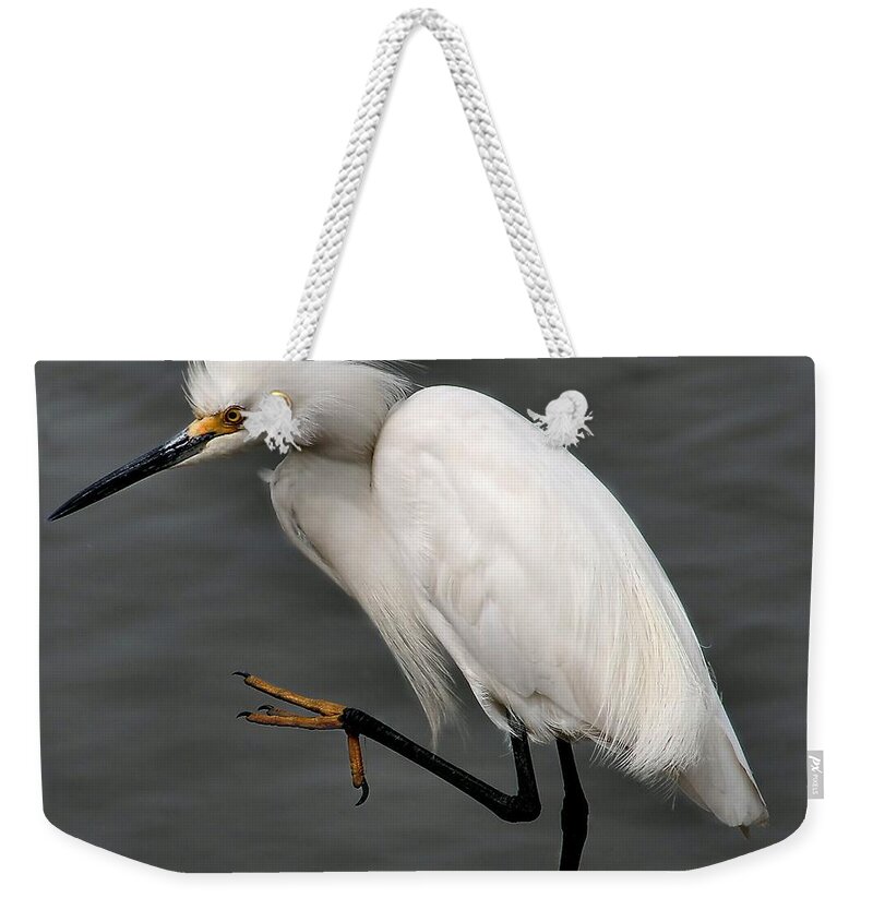 Bird Weekender Tote Bag featuring the photograph Egret by Roger Becker