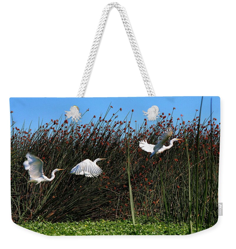 Composite Weekender Tote Bag featuring the photograph Egret Taking Off by Robert Woodward