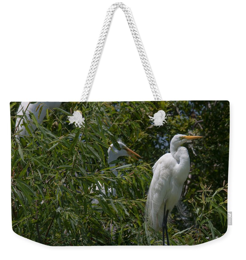Egret Weekender Tote Bag featuring the photograph Egrets in Tree by Dale Powell