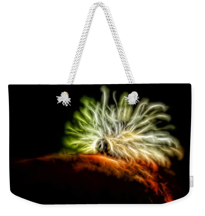 Caterpillar Weekender Tote Bag featuring the photograph Electric Caterpillar by Lucy VanSwearingen