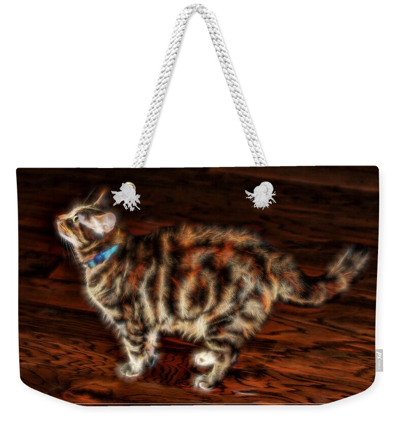 Electric Weekender Tote Bag featuring the photograph Electric Kitty by Lucy VanSwearingen