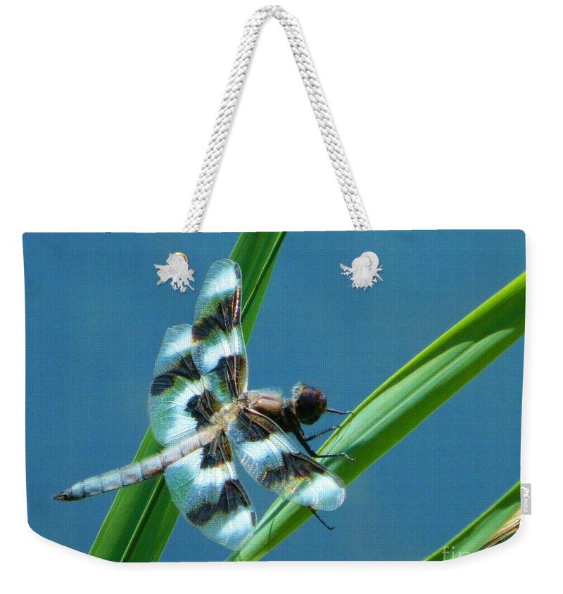 Nature Weekender Tote Bag featuring the photograph Elegance of Nature by Gallery Of Hope 