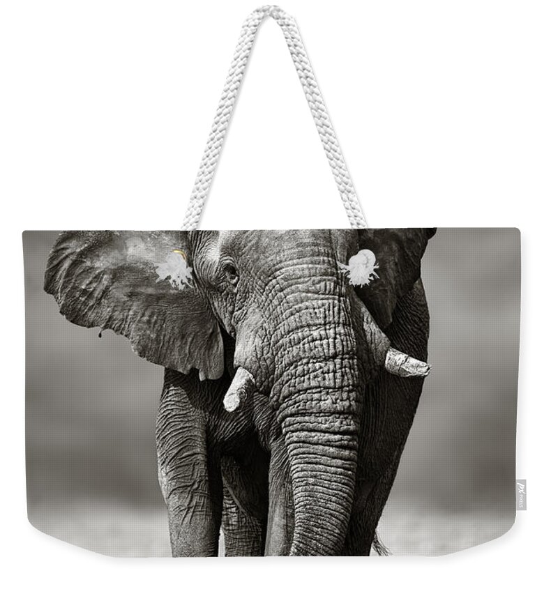 Elephant Weekender Tote Bag featuring the photograph Elephant approach from the front by Johan Swanepoel