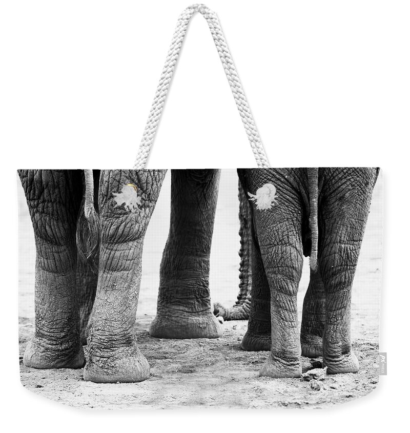 Elephants Weekender Tote Bag featuring the photograph Elephant Feet by Amanda Stadther