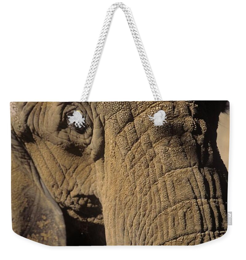 Elephant Weekender Tote Bag featuring the photograph Elephant Portraint by John Harmon
