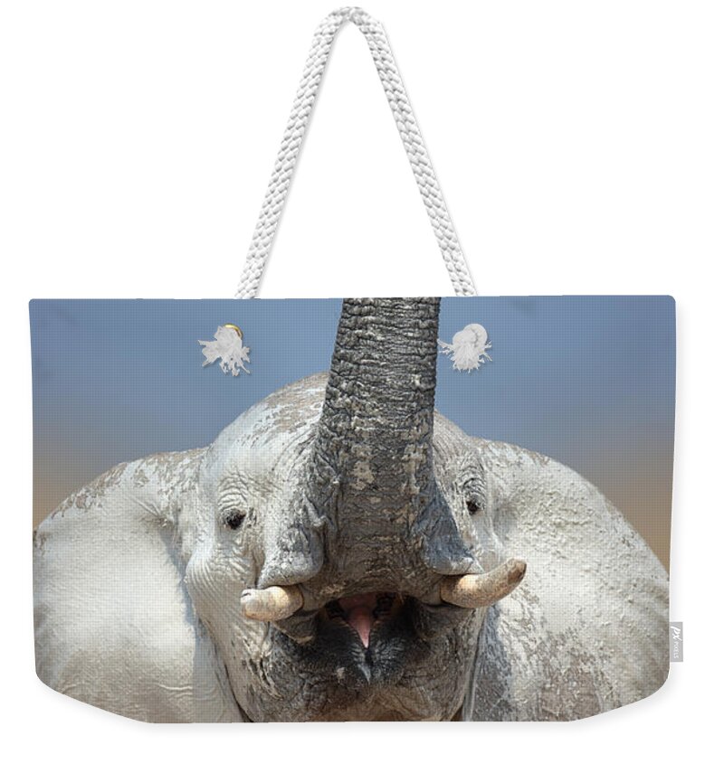 Wild Weekender Tote Bag featuring the photograph Elephant portrait by Johan Swanepoel