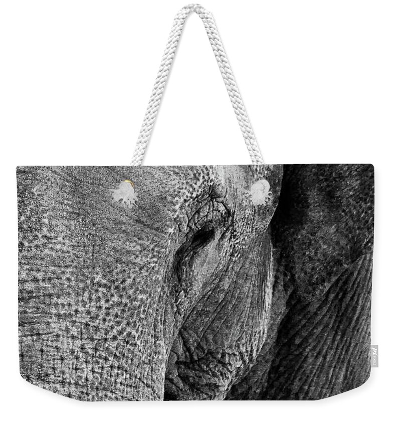 Animal Themes Weekender Tote Bag featuring the photograph Elephant Portrait by Mkember
