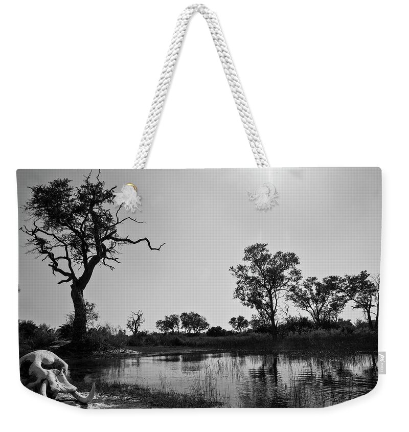 Tree Weekender Tote Bag featuring the photograph Elephant Skull On Riverbank, Okavango by Cameron MacPhail