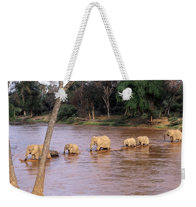 Africa Weekender Tote Bag featuring the photograph Elephants Crossing River by Mary Beth Angelo