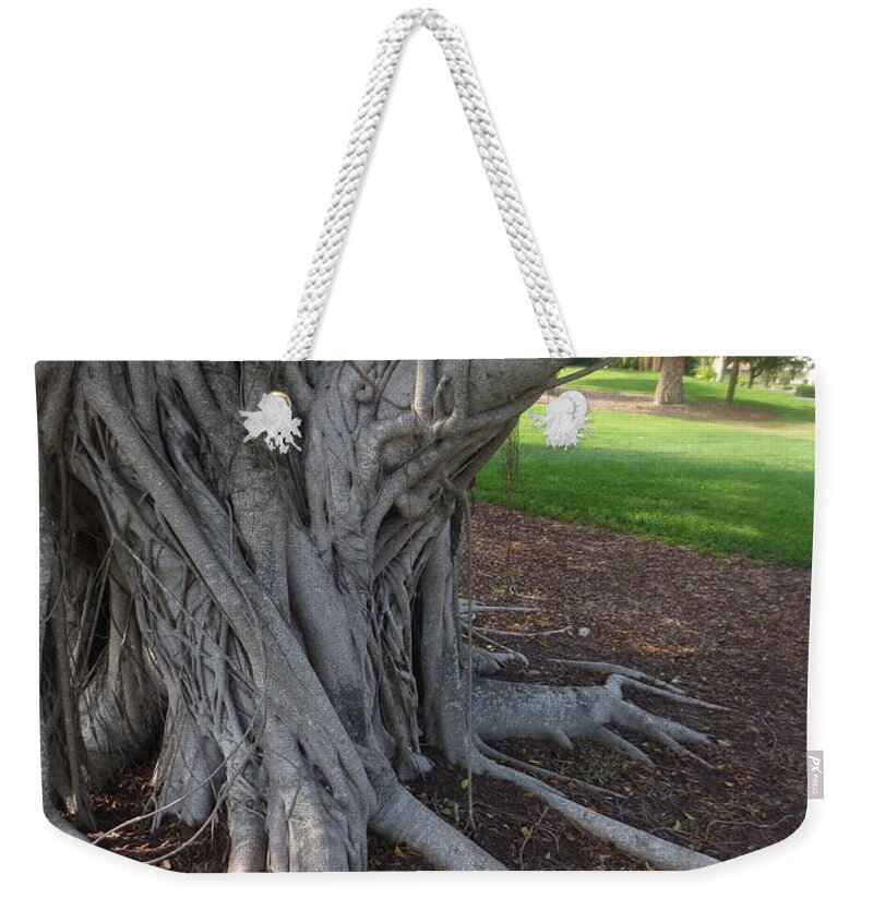  Weekender Tote Bag featuring the photograph Embrace by Richard Laeton