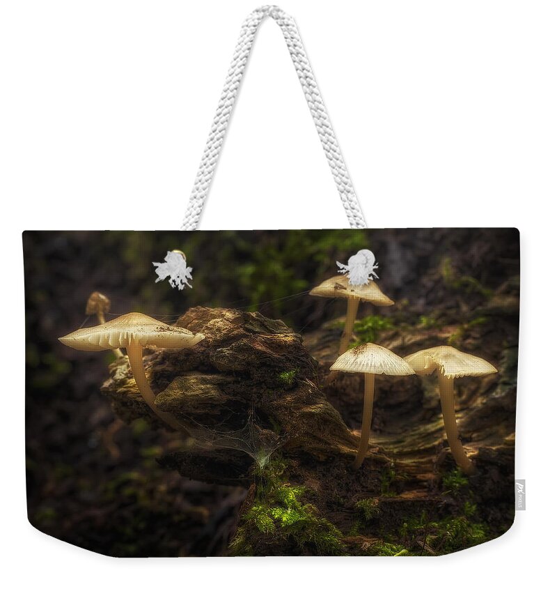 Mushrooms Weekender Tote Bag featuring the photograph Enchanted Forest by Scott Norris