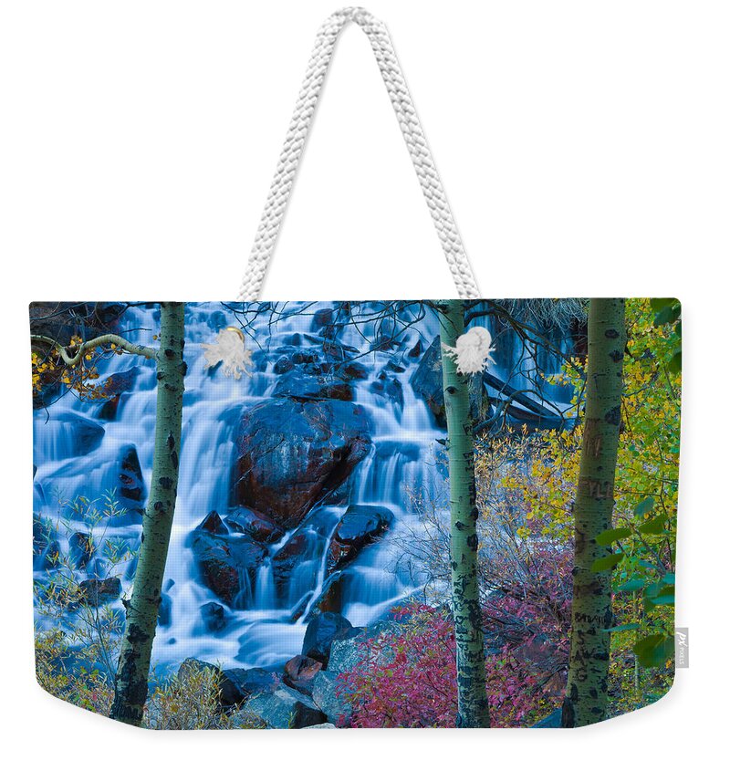 Nature Weekender Tote Bag featuring the photograph Enchanted by Jonathan Nguyen