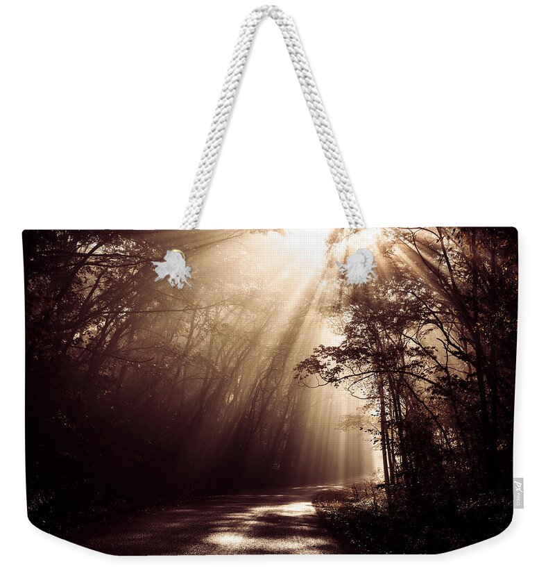 Trees Weekender Tote Bag featuring the photograph Enchanted Light by Todd Klassy