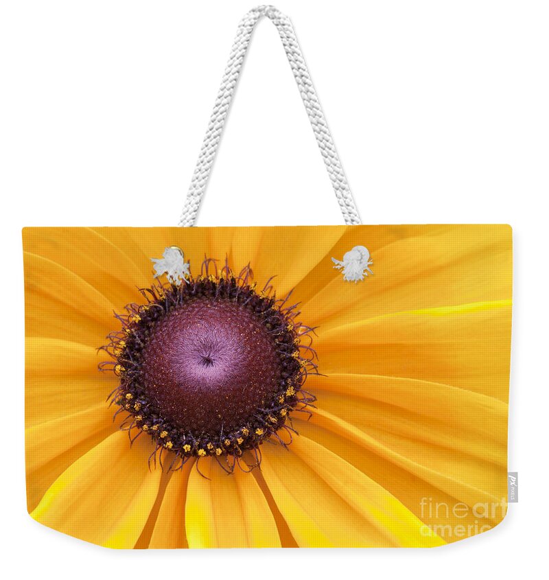 Black-eyed Susan Weekender Tote Bag featuring the photograph Encouragement by Patty Colabuono