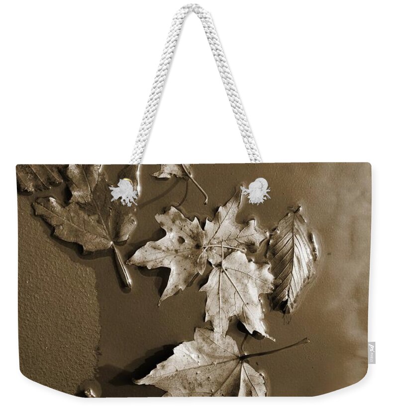 Nature Weekender Tote Bag featuring the photograph End of Season by Marcia Lee Jones