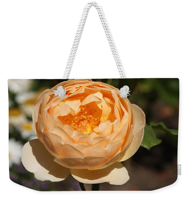 Aromatic Weekender Tote Bag featuring the photograph English Rose by Jeanne White