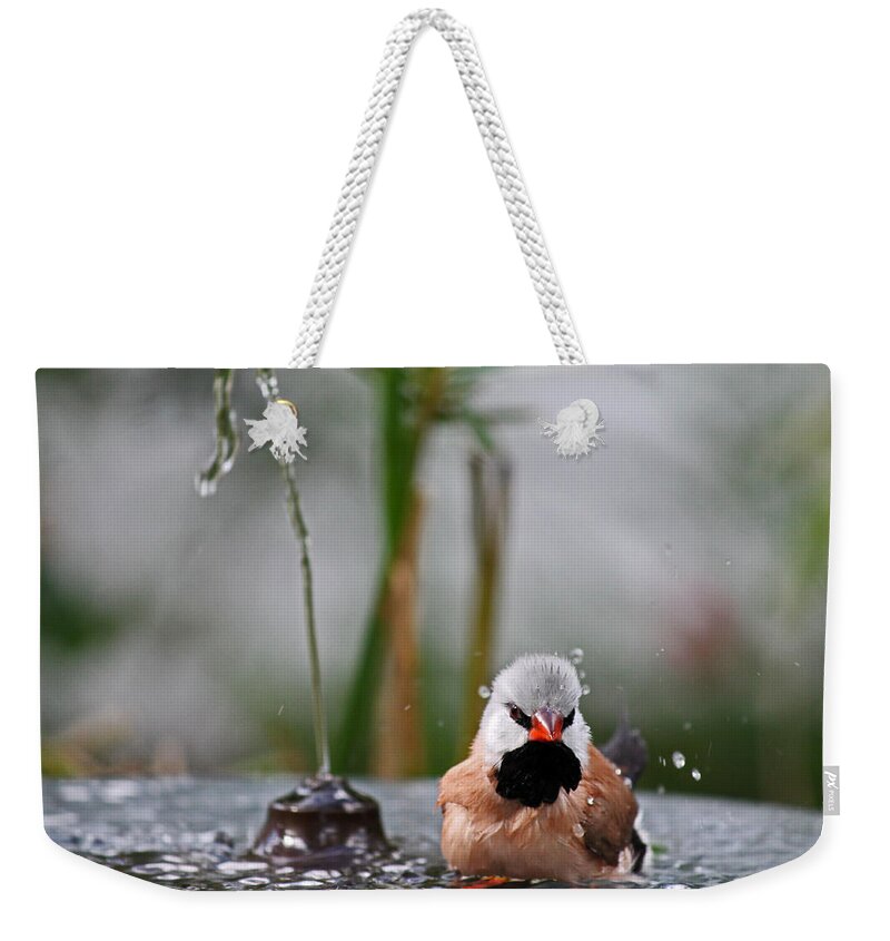 Bird Weekender Tote Bag featuring the photograph Enjoying my shower by Lily K