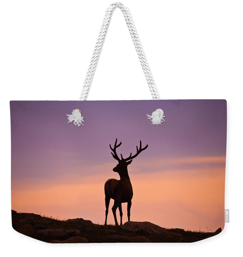 Elk Weekender Tote Bag featuring the photograph Enjoying the View by Darren White