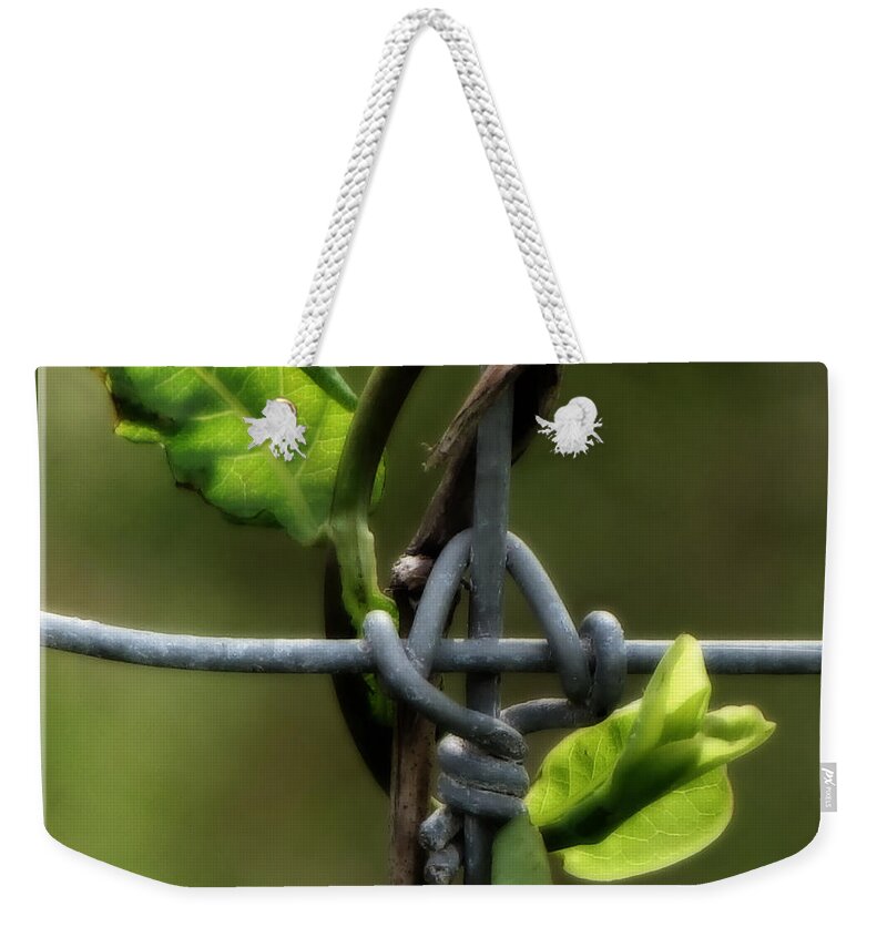 Fence Weekender Tote Bag featuring the photograph Entwined by Lucy VanSwearingen