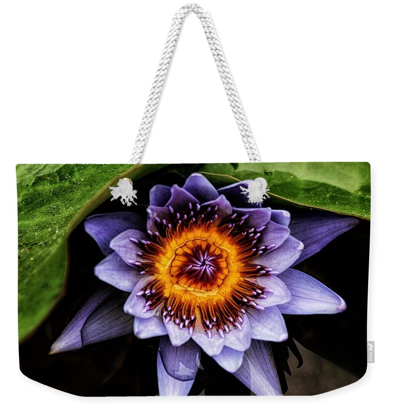 Flower Weekender Tote Bag featuring the photograph Ethereal Beauty by Lucy VanSwearingen