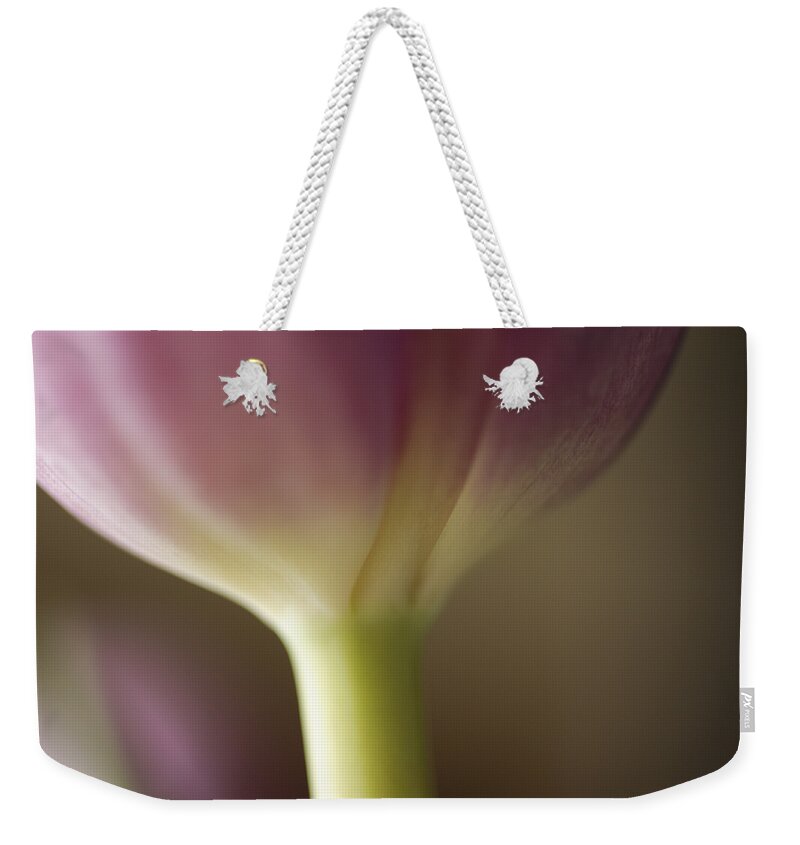 Baby Pink Weekender Tote Bag featuring the photograph Ethereal Curvature by Christi Kraft
