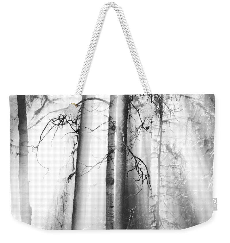 Landscape Weekender Tote Bag featuring the photograph Ethereal Forest by Theresa Tahara