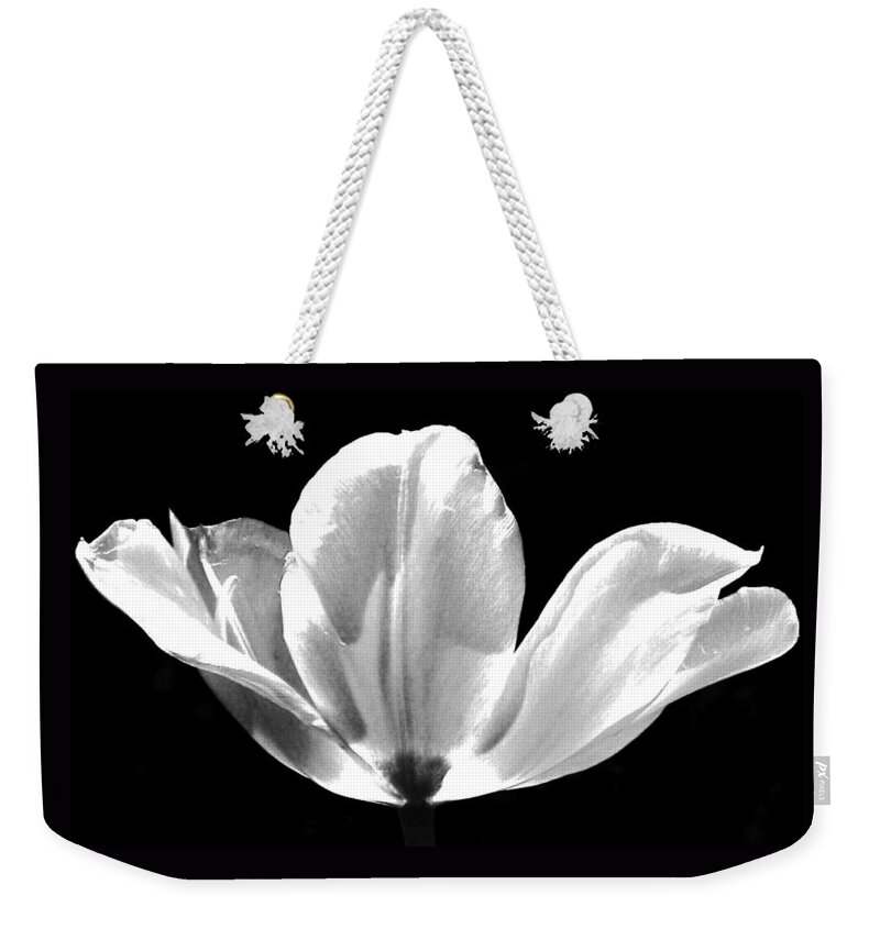 Tulips Weekender Tote Bag featuring the photograph Ethereal Tulip by Angela Davies