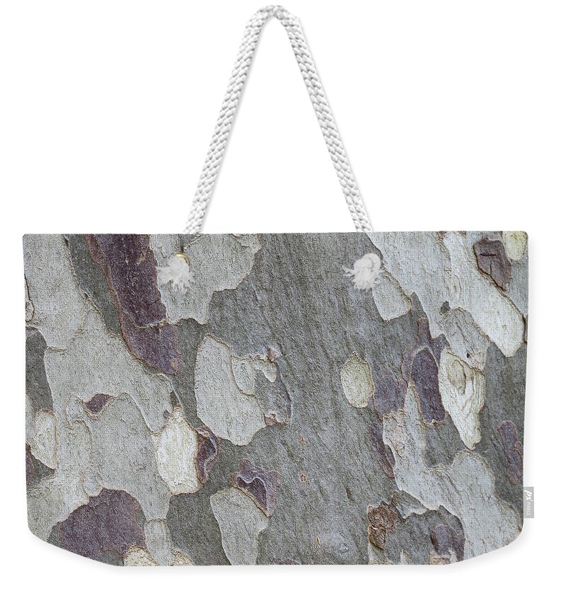 Aging Process Weekender Tote Bag featuring the photograph Eucalyptus Tree Bark Full Frame by Tom And Steve