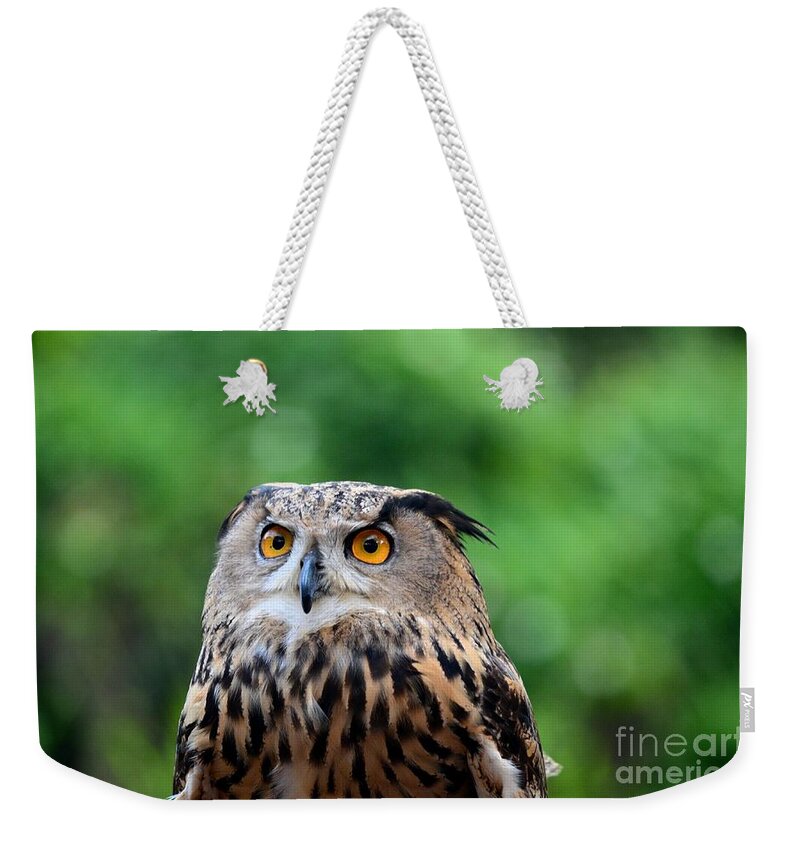 Owl Weekender Tote Bag featuring the photograph Eurasian or European Eagle owl bubo bubo stares intently by Imran Ahmed