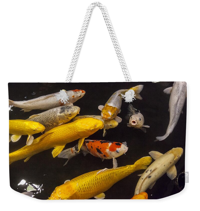 Colin Monteath Weekender Tote Bag featuring the photograph European Carp by Colin Monteath