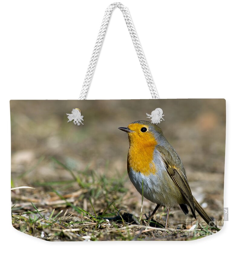 European Robin Weekender Tote Bag featuring the photograph European Robin by Torbjorn Swenelius