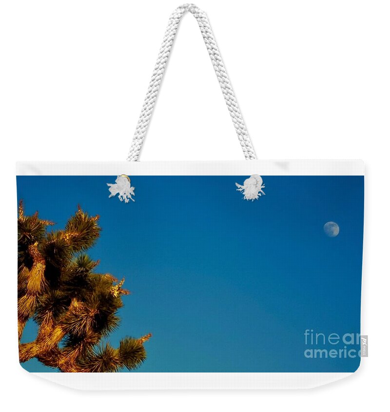 Desert Moon Weekender Tote Bag featuring the photograph EveninG GreetinG by Angela J Wright