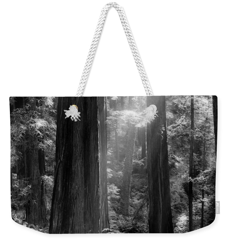 Redwood Weekender Tote Bag featuring the photograph Evening Light by Mark Alder