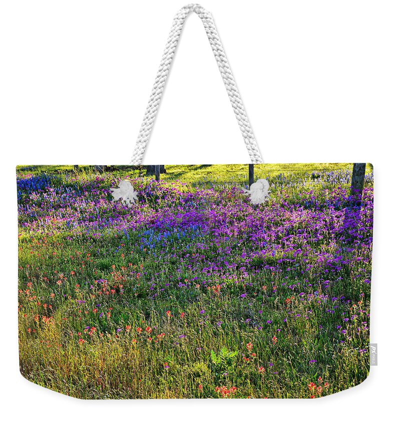Wildflowers In The Texas Hill Country Weekender Tote Bag featuring the photograph Evening's Light by Lynn Bauer