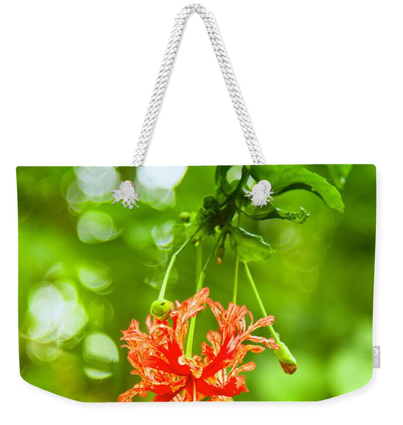 Exotic Weekender Tote Bag featuring the photograph Exotic by Gina Koch