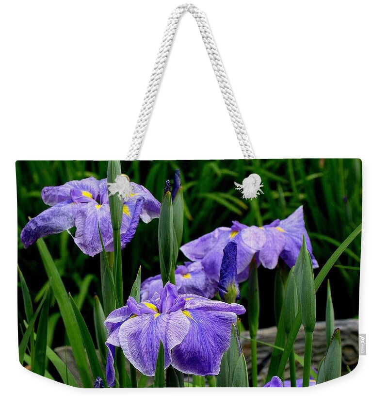 Fine Art Weekender Tote Bag featuring the photograph Explorers by Rodney Lee Williams