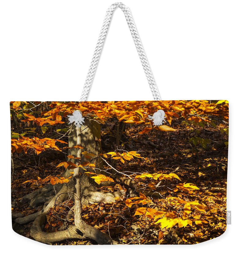 Autumn Weekender Tote Bag featuring the photograph Extra Branch by Paul W Faust - Impressions of Light