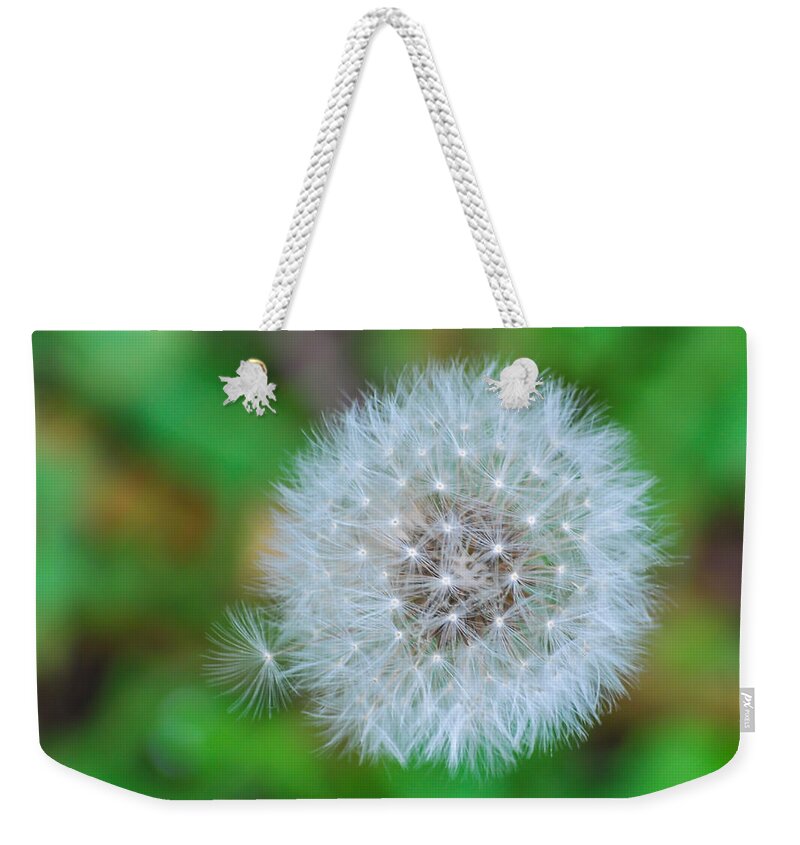 Terry Deluco Weekender Tote Bag featuring the photograph Extra Little Dandelion Wish by Terry DeLuco