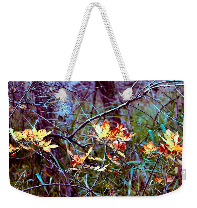 Fall Foliage Weekender Tote Bag featuring the photograph Eye Candy by Sylvia Thornton