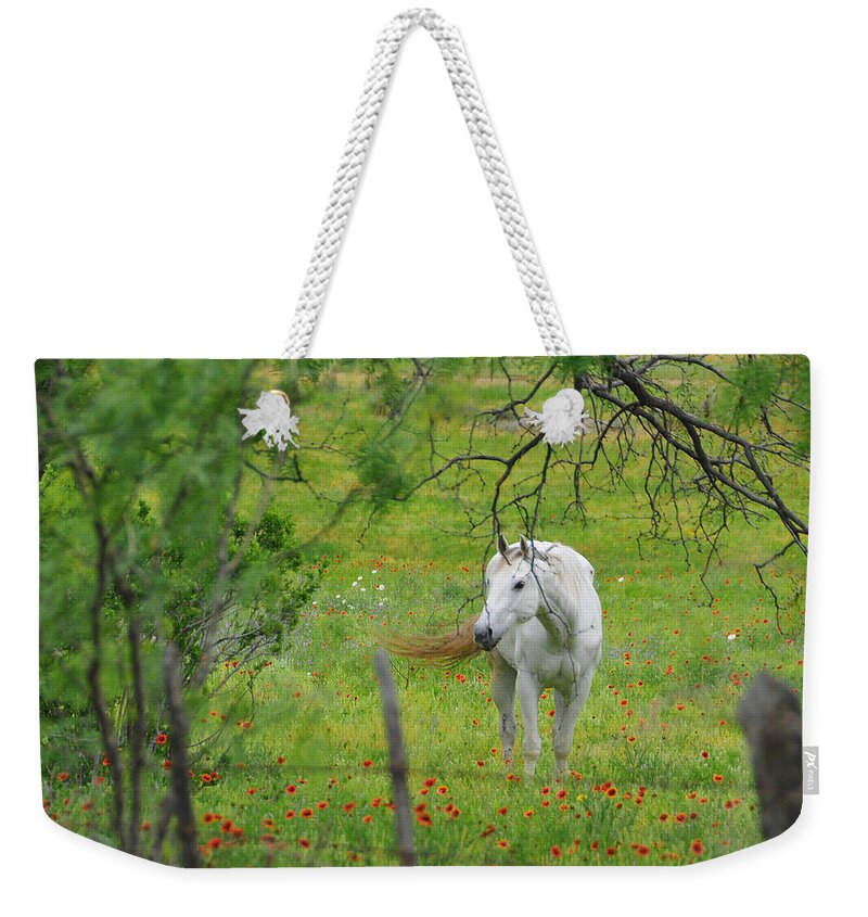Wildflowers Weekender Tote Bag featuring the photograph Eye on Beauty by Lynn Bauer