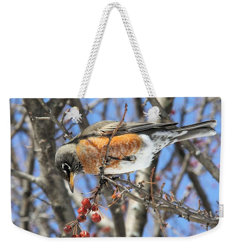 Robin Weekender Tote Bag featuring the photograph Eyeing the prize by Doris Potter