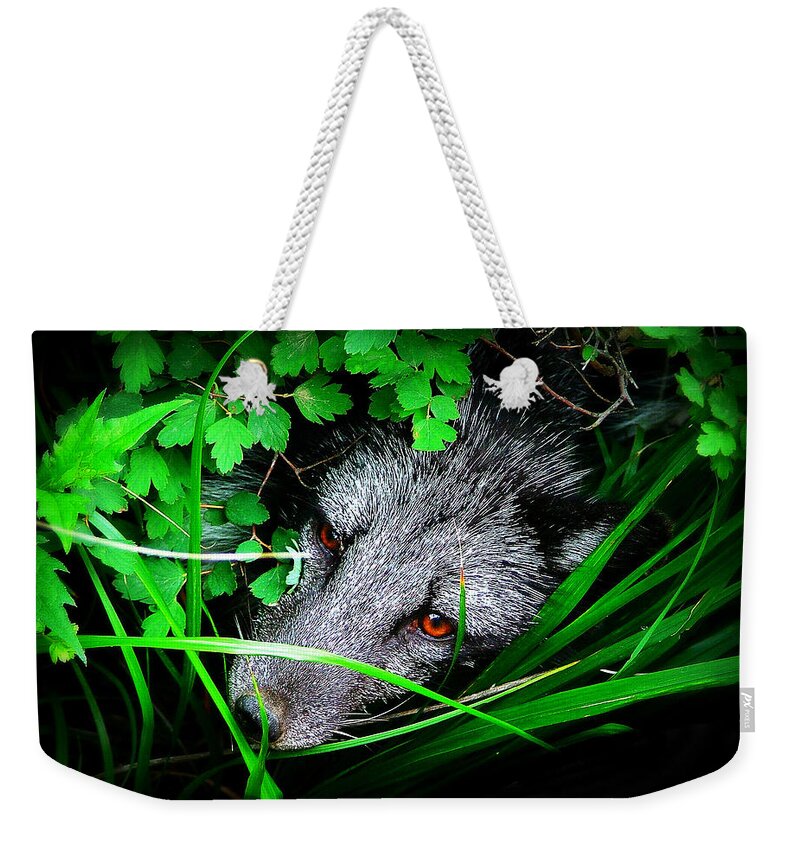 Eyes Weekender Tote Bag featuring the photograph Eyes in the Bushes by Zinvolle Art