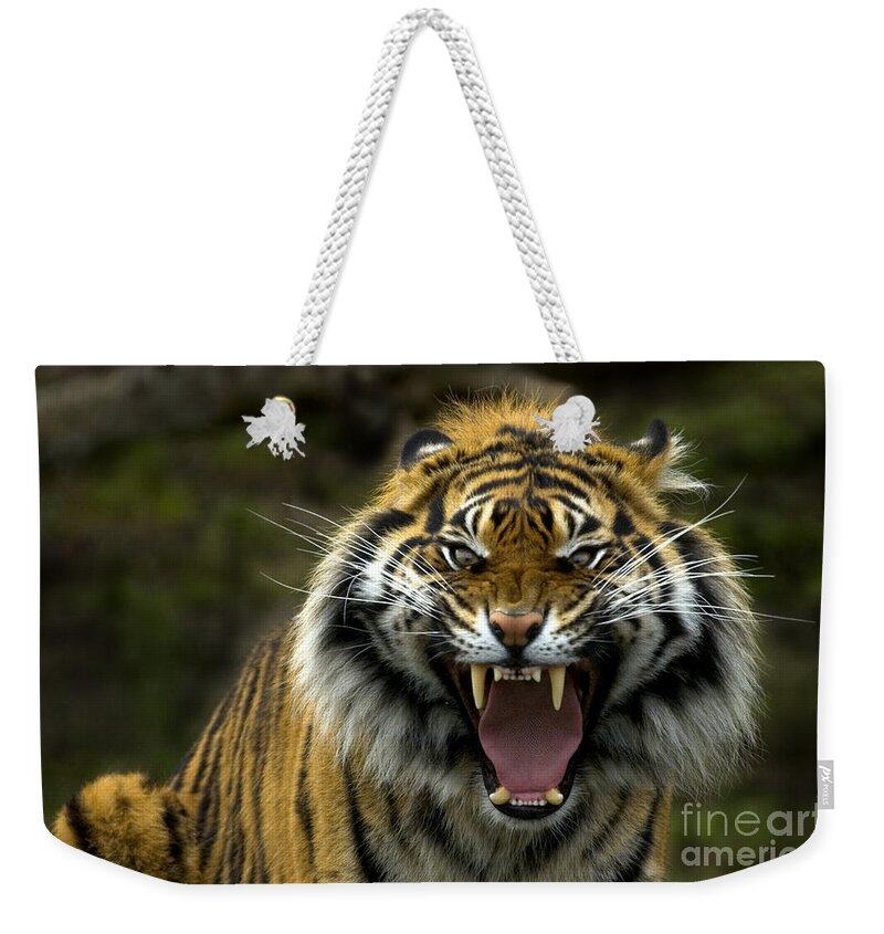 Tiger Weekender Tote Bag featuring the photograph Eyes of the Tiger by Michael Dawson