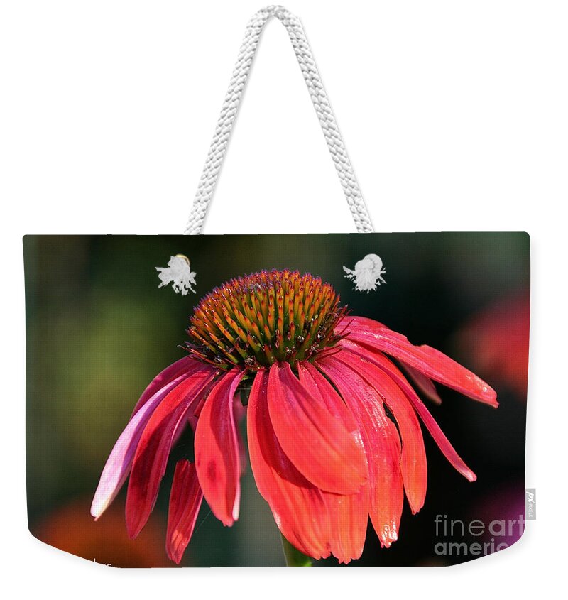 Flower Weekender Tote Bag featuring the photograph Facing The Elements by Susan Herber