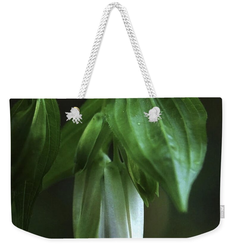 Fairybell Weekender Tote Bag featuring the photograph Fairybells of the Forest by Betty Depee
