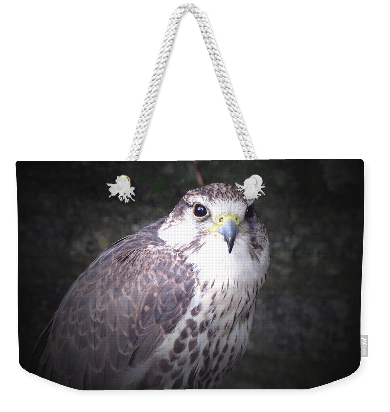 Falcon Weekender Tote Bag featuring the photograph Falcon by Tom Conway