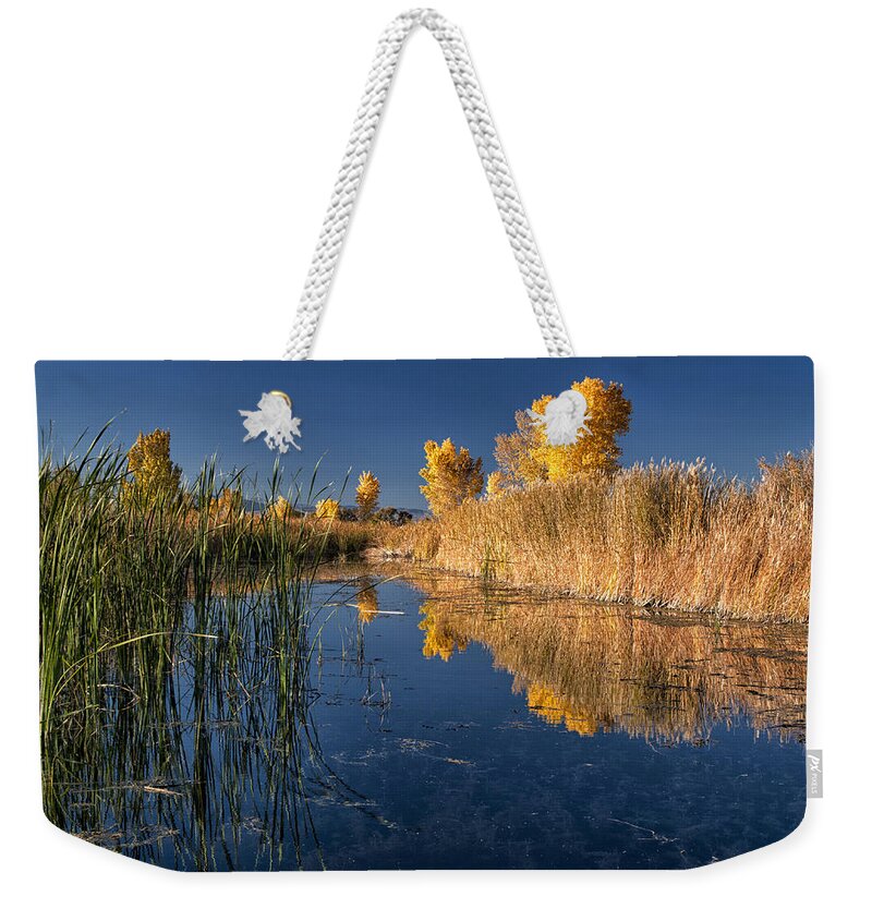 Water Weekender Tote Bag featuring the photograph Fall at the Canal by Cat Connor