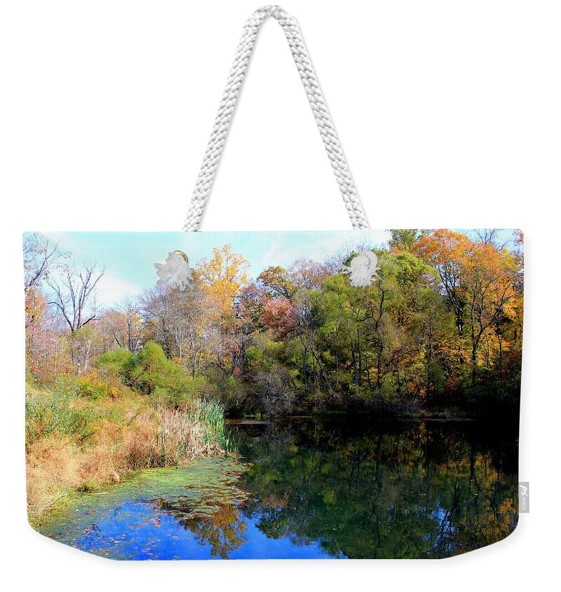 Fall Weekender Tote Bag featuring the photograph Fall Colors by Deborah Crew-Johnson