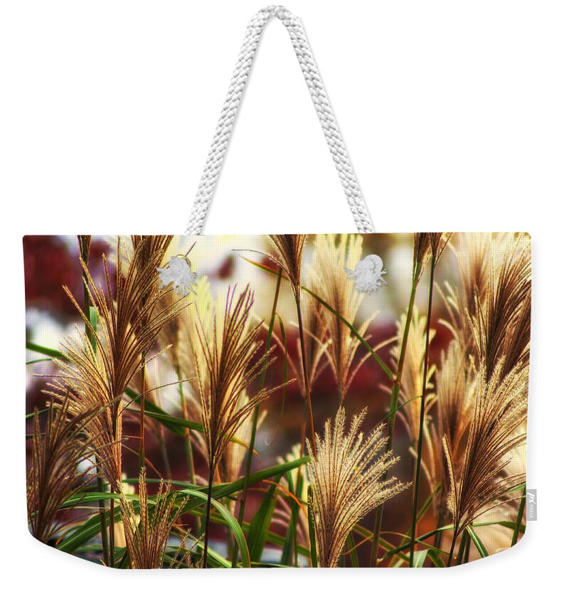 Plants Weekender Tote Bag featuring the photograph Fall Fire. by Rob Dietrich