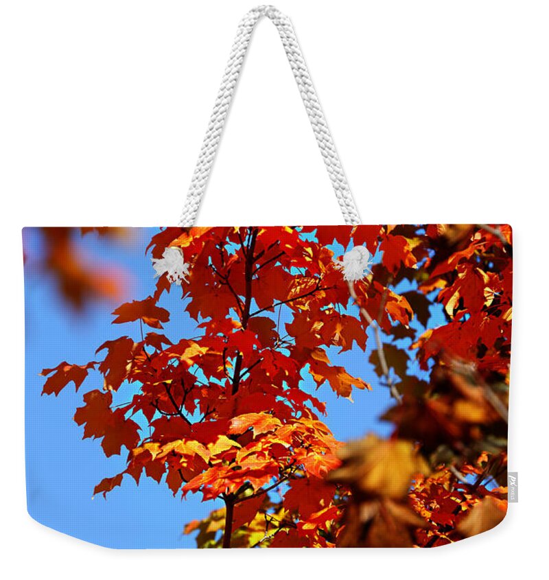 Autumn Weekender Tote Bag featuring the photograph Fall Foliage Colors 15 by Metro DC Photography